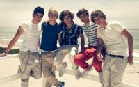 1D_Fans